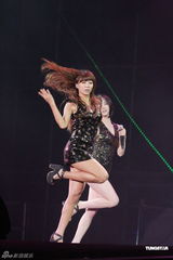 高清图：韩偶像团体SHINee与Sistar等台北火爆开唱