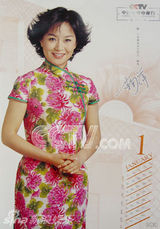 资料：央视名嘴2006年历 鞠萍白岩松一哥一姐