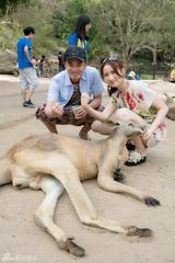 组图：陈赫攀千米高空示爱 携娇妻度蜜月