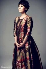 幻灯：海清油画质感写真气质高贵