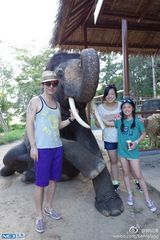 组图：钟镇涛带女儿海岛度假 丛林探险骑大象