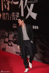 组图：2012新浪微博之夜红毯-王力宏介绍活动