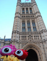 组图：小新小浪前瞻威廉婚礼 婚车游行路线攻略