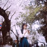 组图：武大女神赏樱花 清秀淡雅文艺范儿