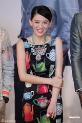 组图：《胜女》发布会陈乔恩张翰秀剧中爱情