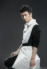 组图：陈晓【演员】现代装登封面 帅气俊朗展阳光魅力