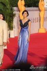 组图：金鸡百花闭幕 女星走红毯蓝裙飘逸身材高挑
