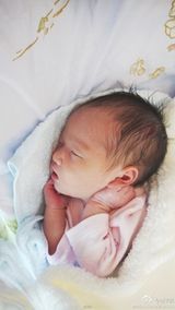 组图：盘点明星有爱亲子照 小S搞怪蔡少芬创意十足