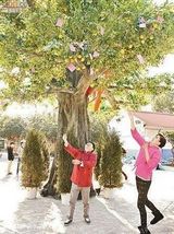 组图：陈嘉桓称被师傅打开窍 龙年得饶人且饶人