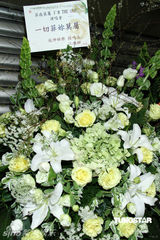 幻灯图：欧阳菲菲6年后再开唱 延时开场惹混乱