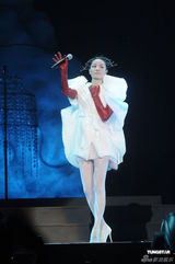 组图：王菲香港演唱会开场 刘嘉玲李亚鹏现身支持