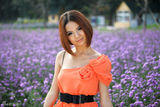 高清组图：锁曼丽置身薰衣草花园 演绎浪漫纯情风