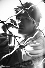 组图：2013爱豆评选音乐篇 谁是你的“神”