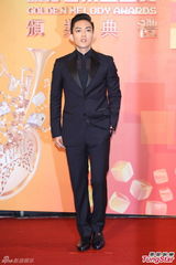 组图：林宥嘉与邓紫棋牵手走红毯 悉心照顾甜蜜