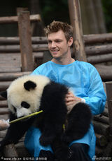 组图：后街男孩化身熊猫奶爸 喂竹子吐舌卖萌