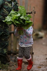 组图：爸爸去哪儿第六期海量图 萌宝帅爸卖菜忙