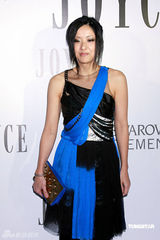 幻灯图：张曼玉成慈善晚宴焦点 杨千嬅不慰问郑中基