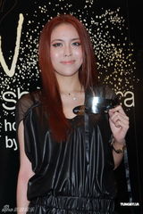 组图：王家卫广告宣传片发布 廖碧儿温碧霞助阵