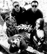 组图：2014北京迷笛全阵容时间表公布