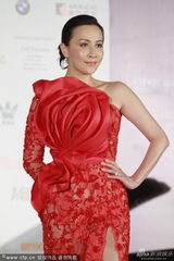 组图：评委刘嘉玲着红衣气派足 胸前红花炫目