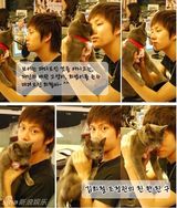 策划：韩星宠物集结号 爱豆们的宠物情人