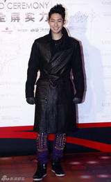 组图：吴奇隆钟汉良等众星助阵乐视盛典红毯