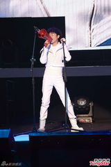 组图：苏打绿演唱会脱衣助兴 王菀之任嘉宾献唱