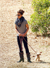 组图：凯特-贝金赛尔牵狗散步 享受慵懒午后