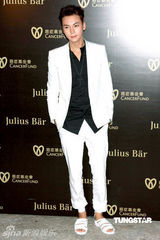 幻灯图：熊黛林李玟乐基儿何超仪等齐聚慈善晚宴