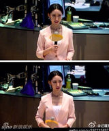 组图：新浪最美女记者走红 神似佟丽娅娄艺潇