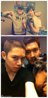 策划：韩星宠物集结号 爱豆们的宠物情人