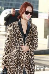 组图：黄静茵豹纹大衣现身机场 飞巴厘岛拍写真