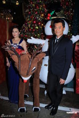 组图：古天乐为圣诞树亮灯 刘嘉玲否认赴美人工受孕