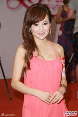 前亚姐亮相落座各自走光 罗霖公款遭亏空(图)