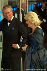 幻灯图：《爱丽丝》英国首映 海瑟薇秀雪白凝肌