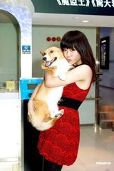 组图：何韵诗与农夫出席电影《猫狗斗多番》首映礼