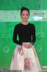 组图：上海电视节红毯 范文芳性感紧身黑衣亮相