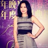 组图：王晶王家卫亲切合照 刘嘉玲章子怡齐斗艳