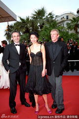 组图：华语明星戛纳红毯十大经典瞬间