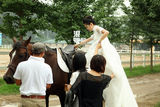 独家：何洁赫子铭再曝婚纱照 并肩骑马甜蜜拥吻