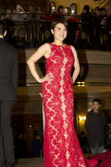 组图：伦敦华语电影节开幕 范冰冰美艳压轴