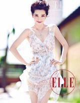 幻灯图：李冰冰登《ELLE》封面 优雅大气淑女风范