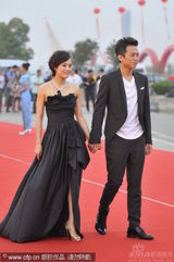 幻灯图集：邓超孙俪亲密亮相 手牵手恩爱走红毯