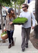 高清组图：Maggie Q化身主妇与男友逛集贸市场