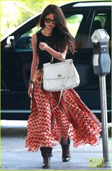 赛琳娜飘逸长裙似花姑娘 赠流浪者钱显爱心(图)