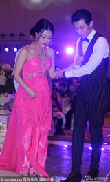 独家策划：2013明星婚礼大盘点 前赴后继忙脱单