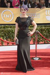 组图：19届演员工会奖举行 女星各色长裙PK红毯