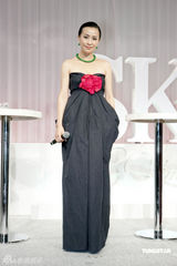 幻灯图：凯特-布兰切特刘嘉玲等女星盛装代言