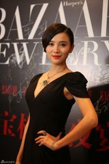 组图：李晨殷桃等出席珠宝晚宴 邓超林鹏见面热聊