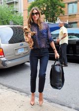 组图：米兰达透视蓝色上装携宠物狗出街派头十足